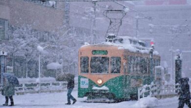 اليابان.. شلل بحركة النقل بسبب الثلوج الكثيفة