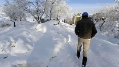 الثلوج تكسي مناطق متفرقة من الجزائر .. بعد غياب 3 سنوات