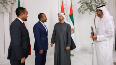 الإمارات وإثيوبيا توقعان اتفاقية لتطوير مشروع للطاقة الشمسية
