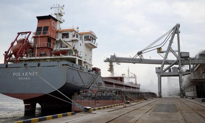 لزيادة صادرات الحبوب .. أوكرانيا تسرع عمليات تفتيش السفن