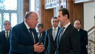 بشار الأسد يلتقي وزير خارجية مصر في دمشق