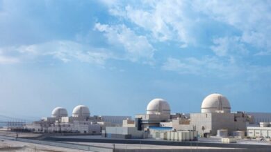 الإمارات تقترب من تحقيق أهداف البرنامج النووي السلمي