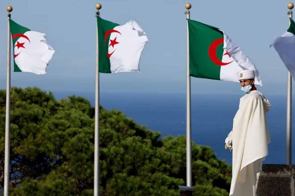 ماذا تريد الجزائر الأفريقية من أفريقيا؟