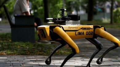 باحثون يتمكنون من تعليم الكلاب الروبوتية حيلاً جديدة