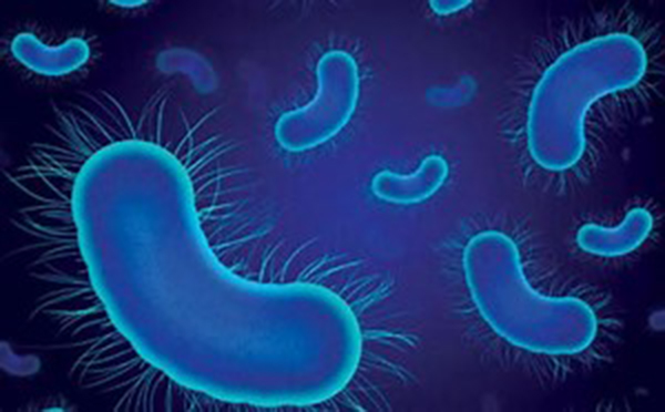 اكتشاف بكتيريا مقاومة للمضادات الحيوية في الغيوم